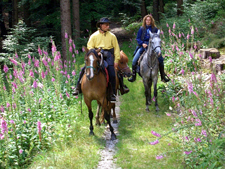 Austria-Upper Austria-Innviertel Woodlands Ride